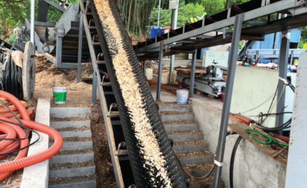 Băng tải - Ảnh 4