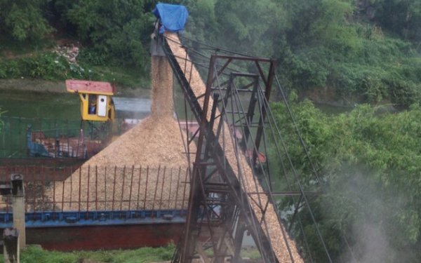 Băng tải - Ảnh 9