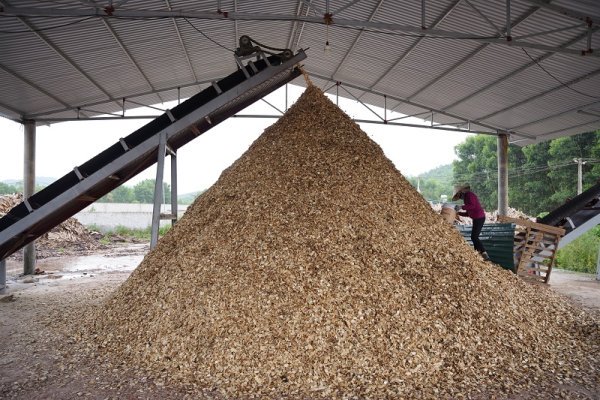 Băng tải - Ảnh 2