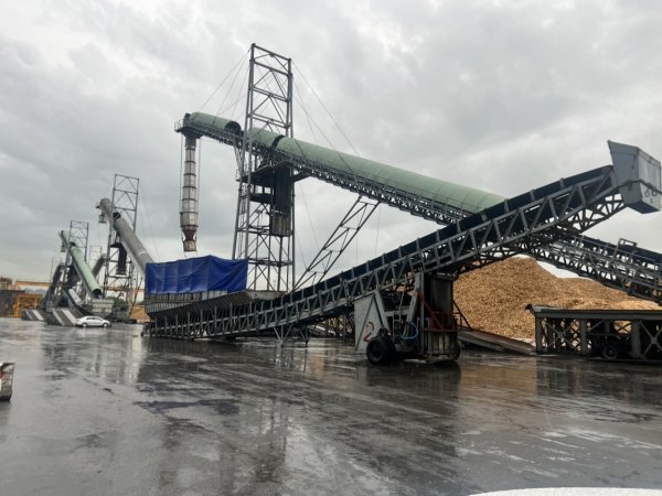 Băng tải - Ảnh 15