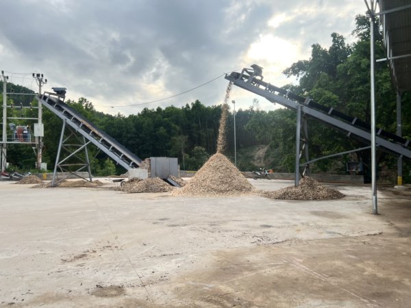 Băng tải - Ảnh 3